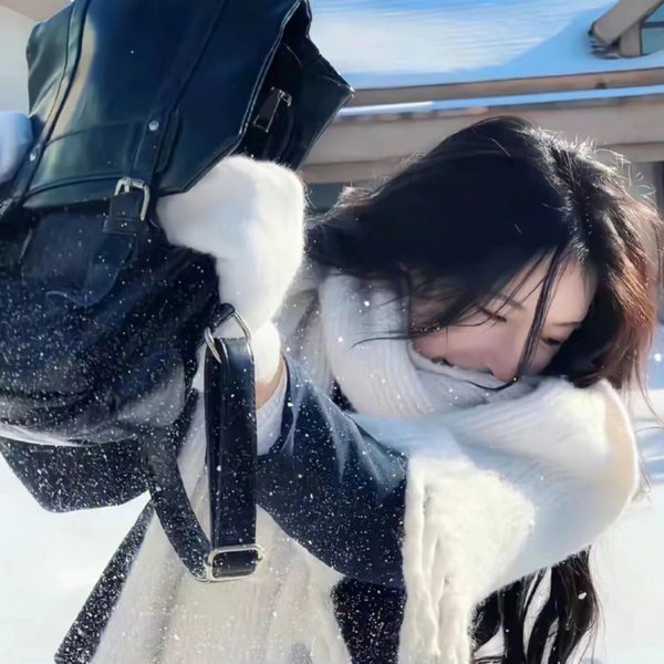 国土安全第八季